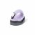 Lavender Purple